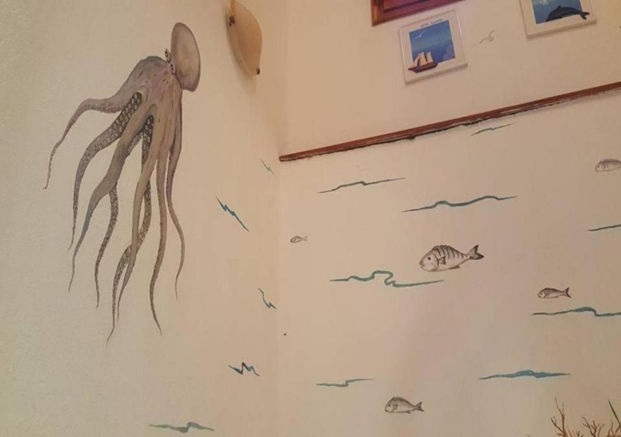 Gallery 阿莫利亚尼岛 外观 照片
